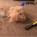 Opal Carpet Cleaning Perth logo